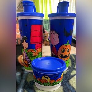 Vintage Peanuts Charlie Brown & the Great Pumpkin Tupperware Bottles & Container